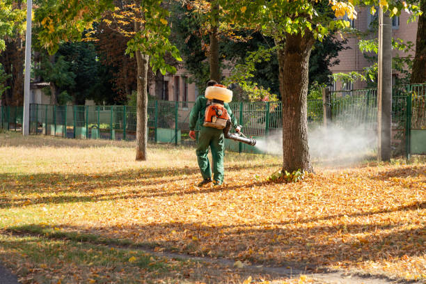 Bird Control in Oak Forest, IL