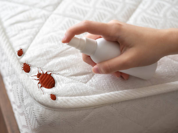 Best Cockroach Control Services  in Oak Forest, IL